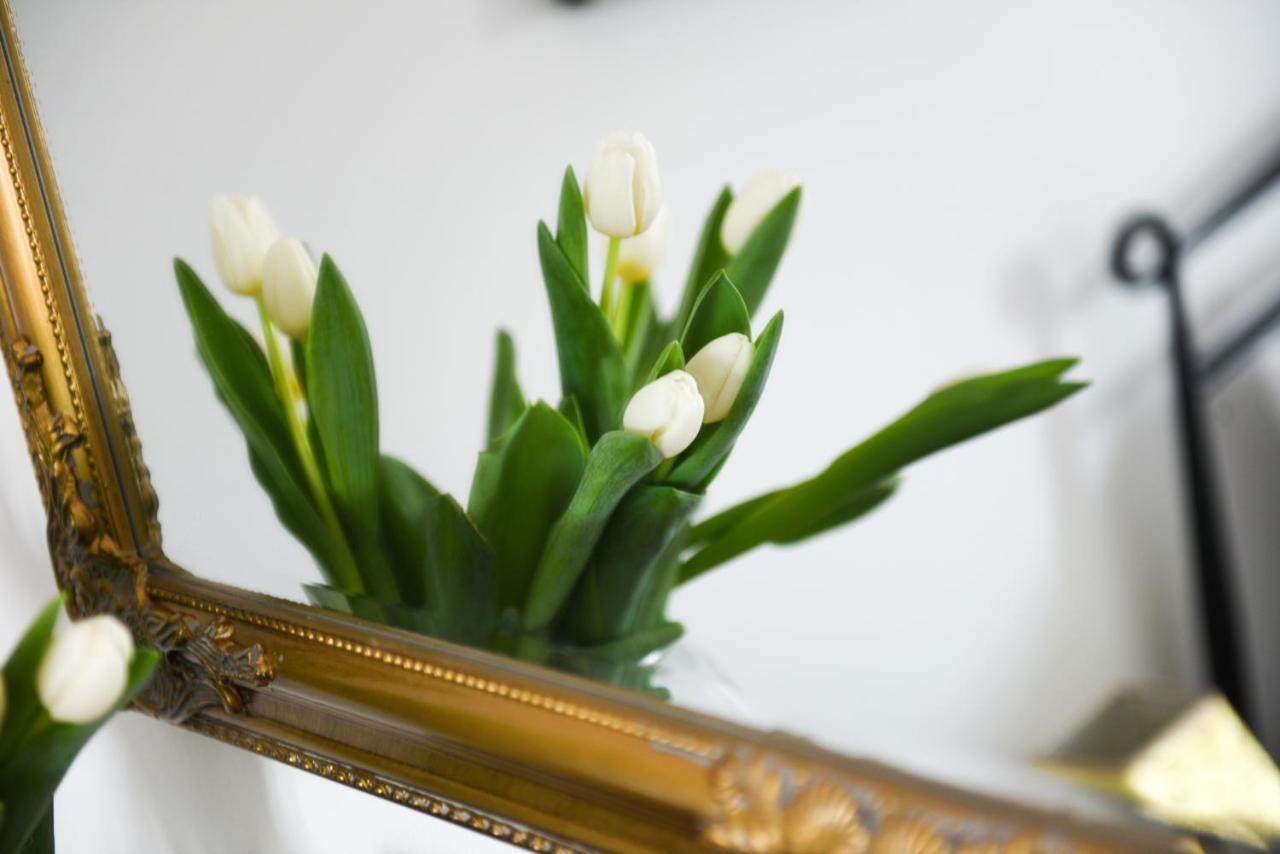 Diana Borik Apartment Zadar Luaran gambar